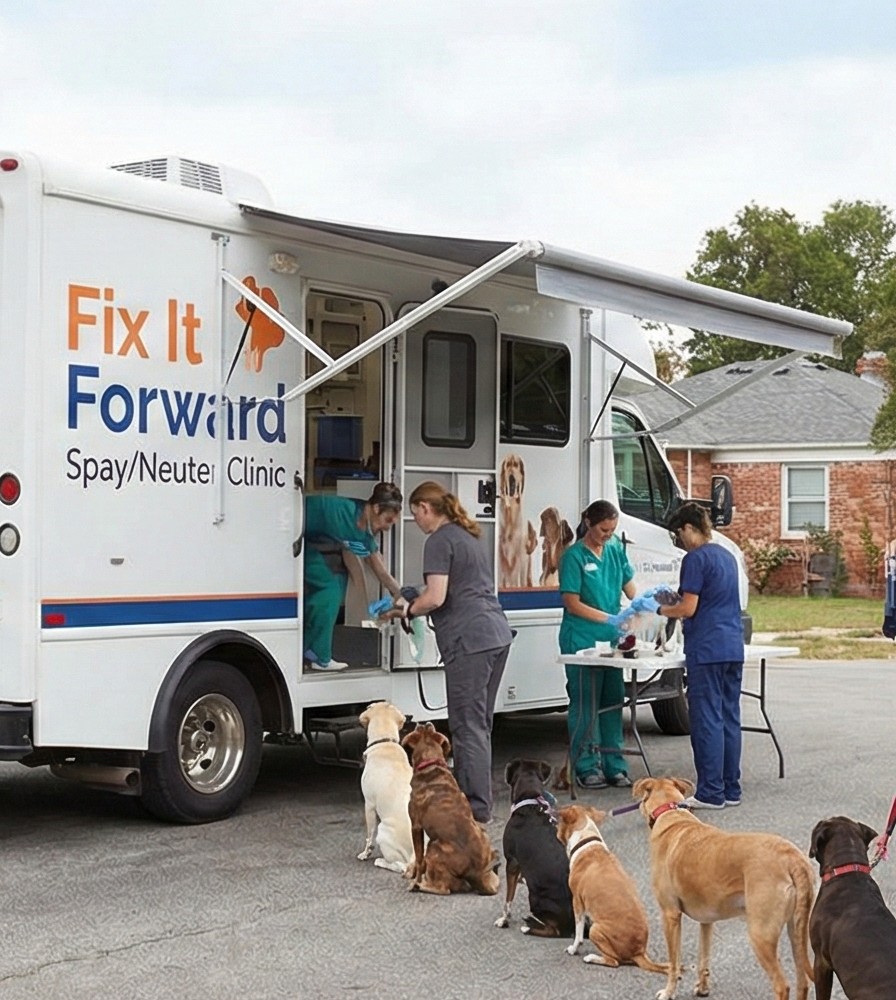 Fix It Forward spay/neuter clinic