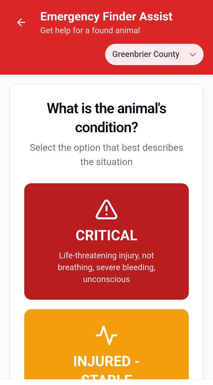 MAYDAY Emergency Finder Assist screen for selecting a found animal's condition in Greenbrier County